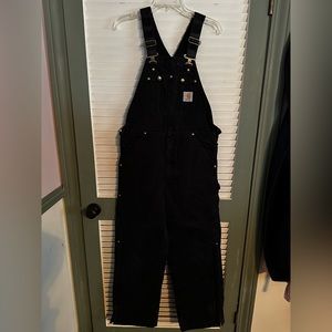 Carhartt Men’s Lined Bibs/Coveralls